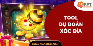 Tool dự đoán xóc đĩa
